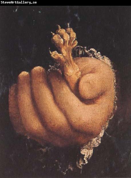 Lorenzo Lotto Man with a Golden Paw (mk45)